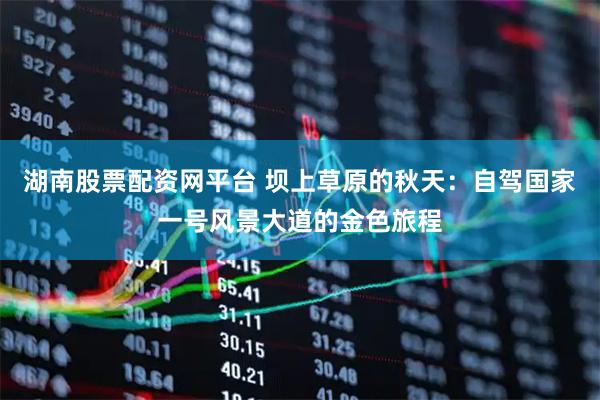湖南股票配资网平台 坝上草原的秋天：自驾国家一号风景大道的金色旅程